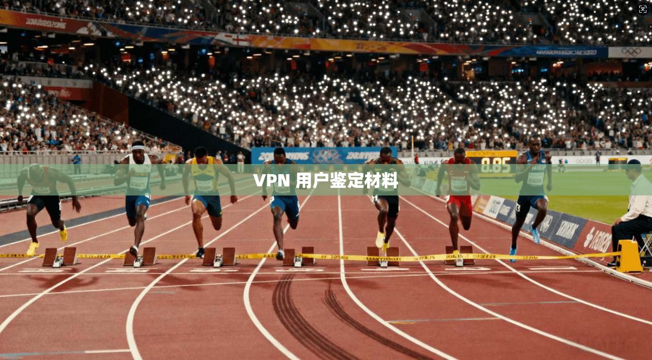 VPN 用户鉴定材料