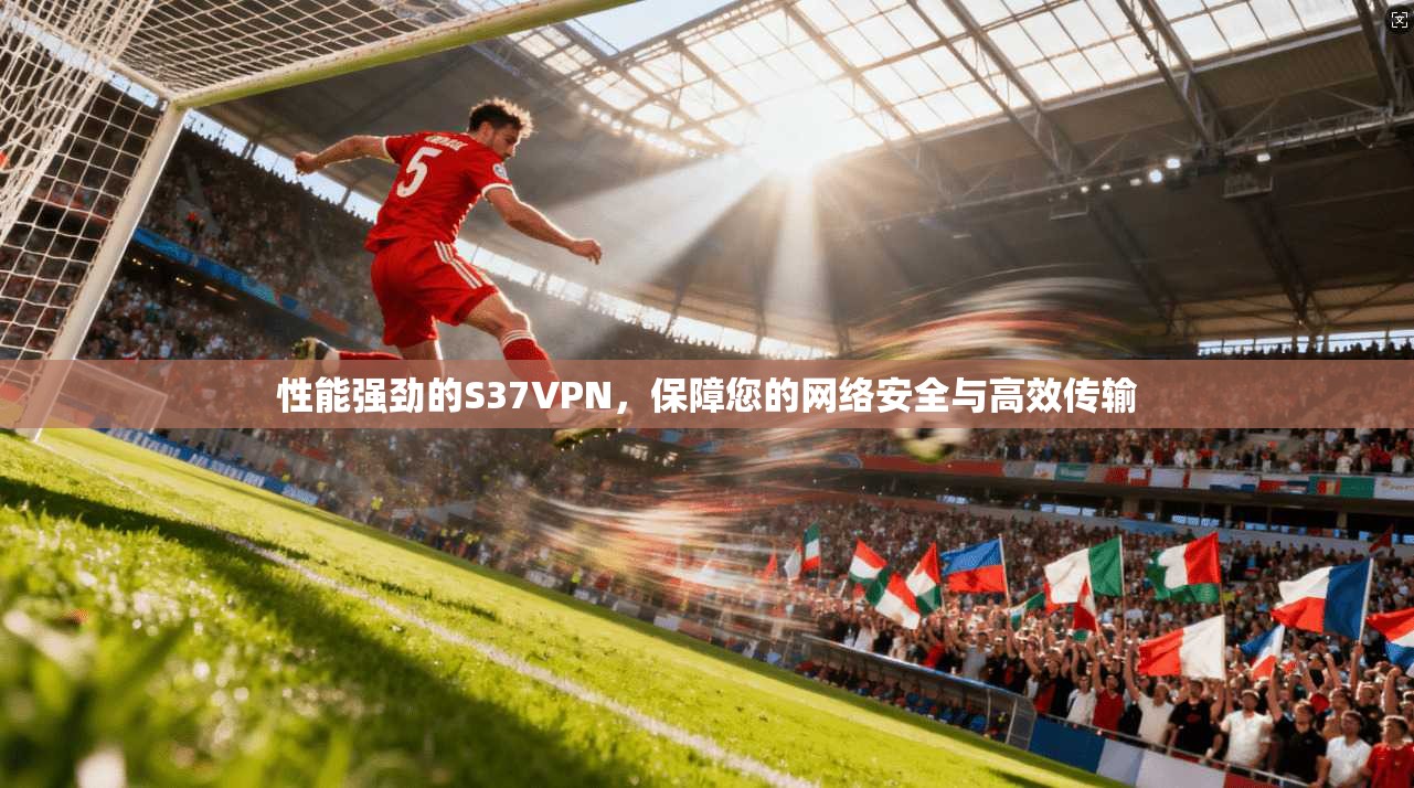 性能强劲的S37VPN，保障您的网络安全与高效传输