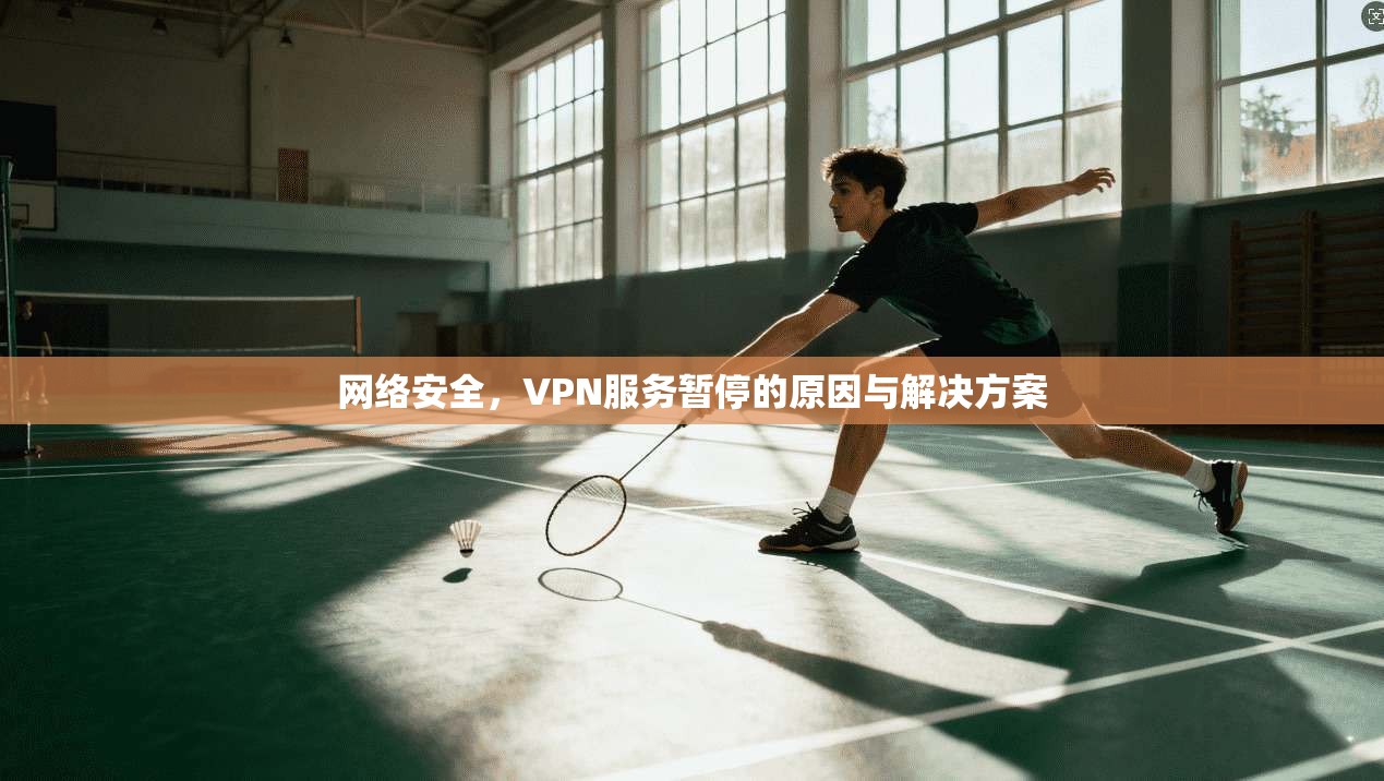 网络安全，VPN服务暂停的原因与解决方案