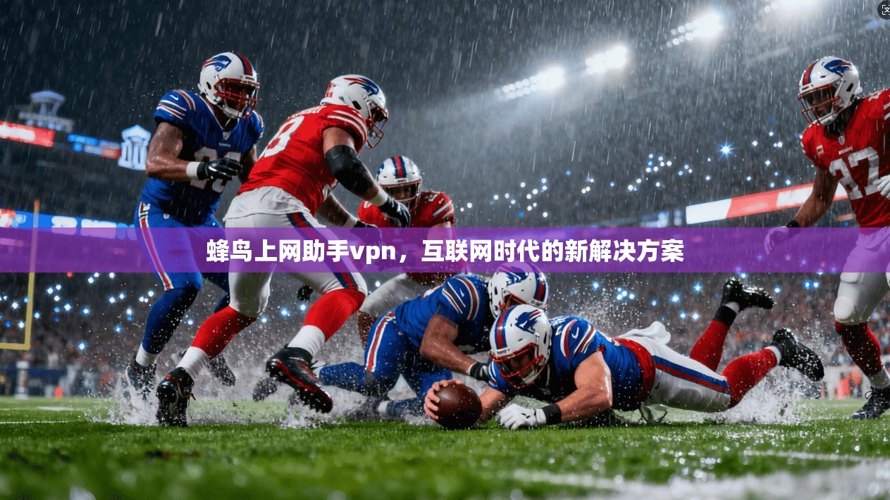 蜂鸟上网助手vpn，互联网时代的新解决方案