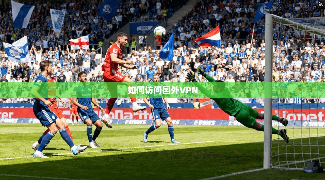 如何访问国外VPN