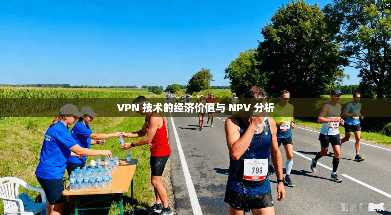 VPN 技术的经济价值与 NPV 分析