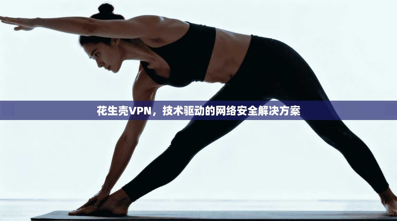 花生壳VPN，技术驱动的网络安全解决方案