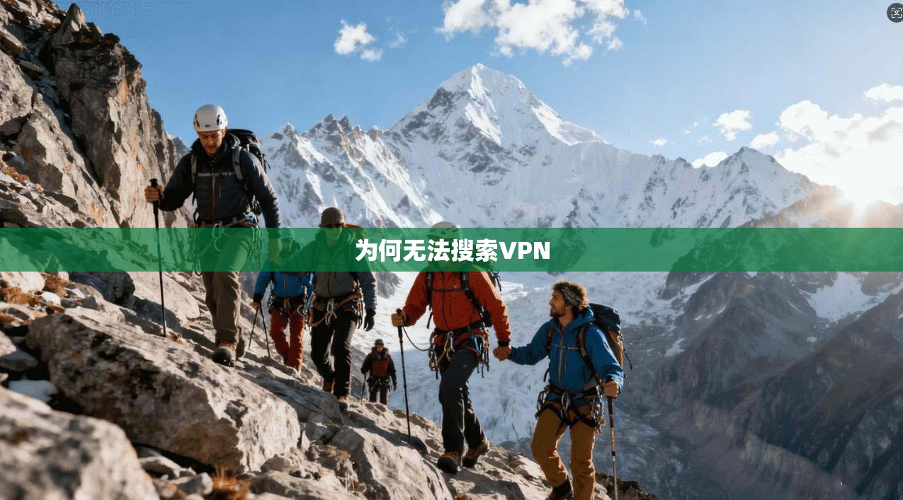 为何无法搜索VPN