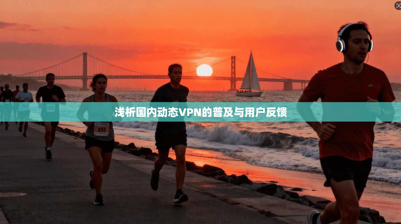 浅析国内动态VPN的普及与用户反馈
