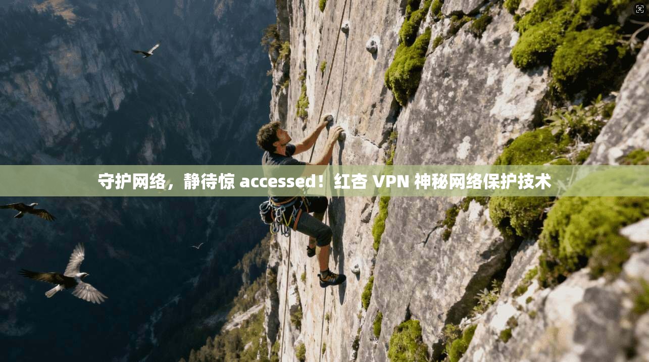 守护网络，静待惊 accessed！红杏 VPN 神秘网络保护技术