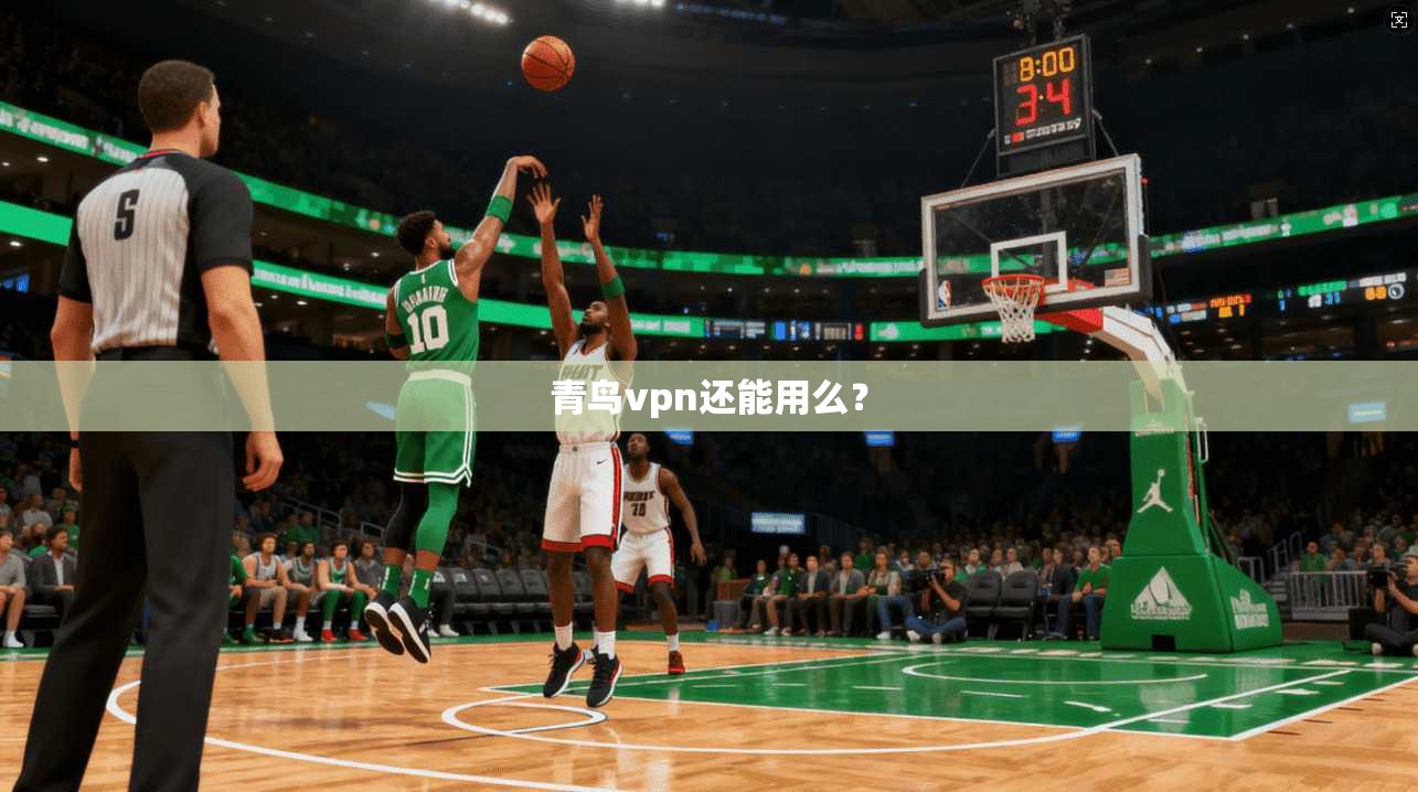 青鸟vpn还能用么？  第1张