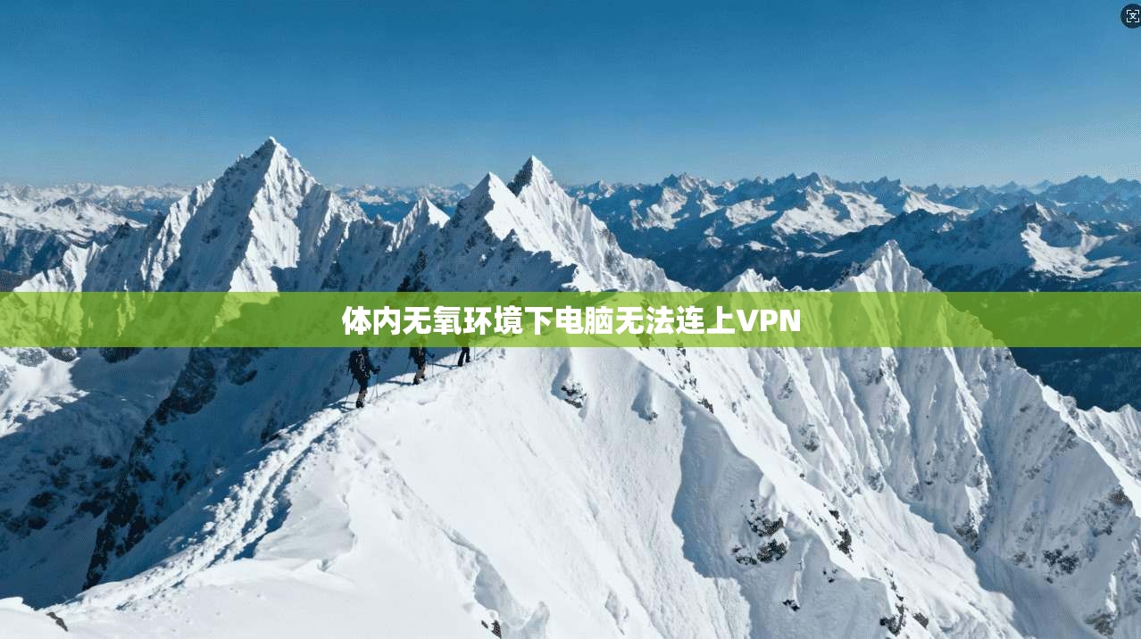 体内无氧环境下电脑无法连上VPN