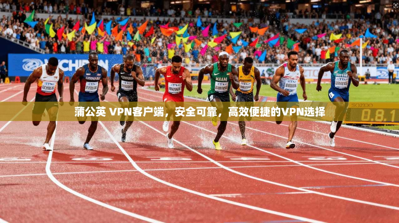 蒲公英 VPN客户端，安全可靠，高效便捷的VPN选择