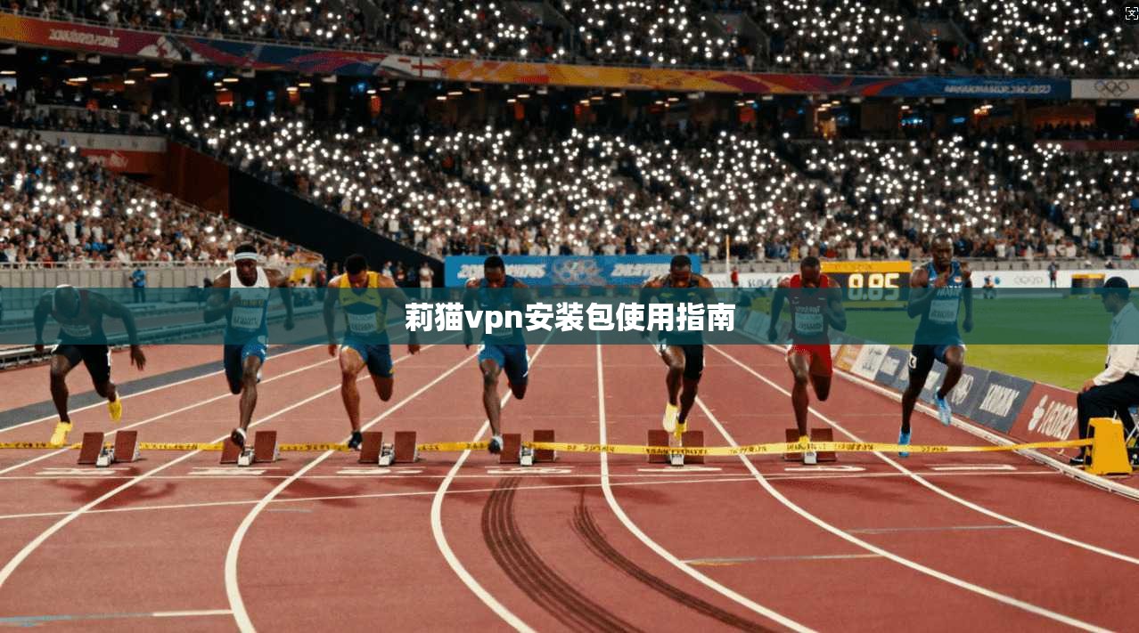 莉猫vpn安装包使用指南