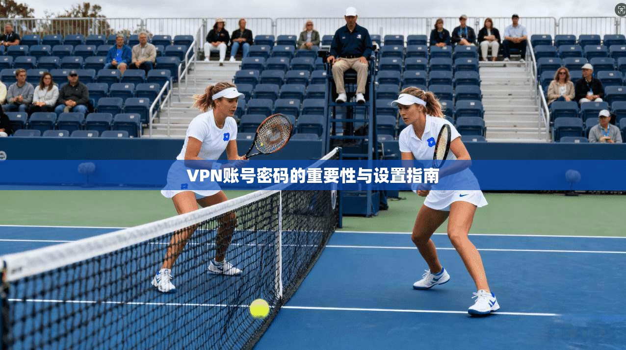 VPN账号密码的重要性与设置指南