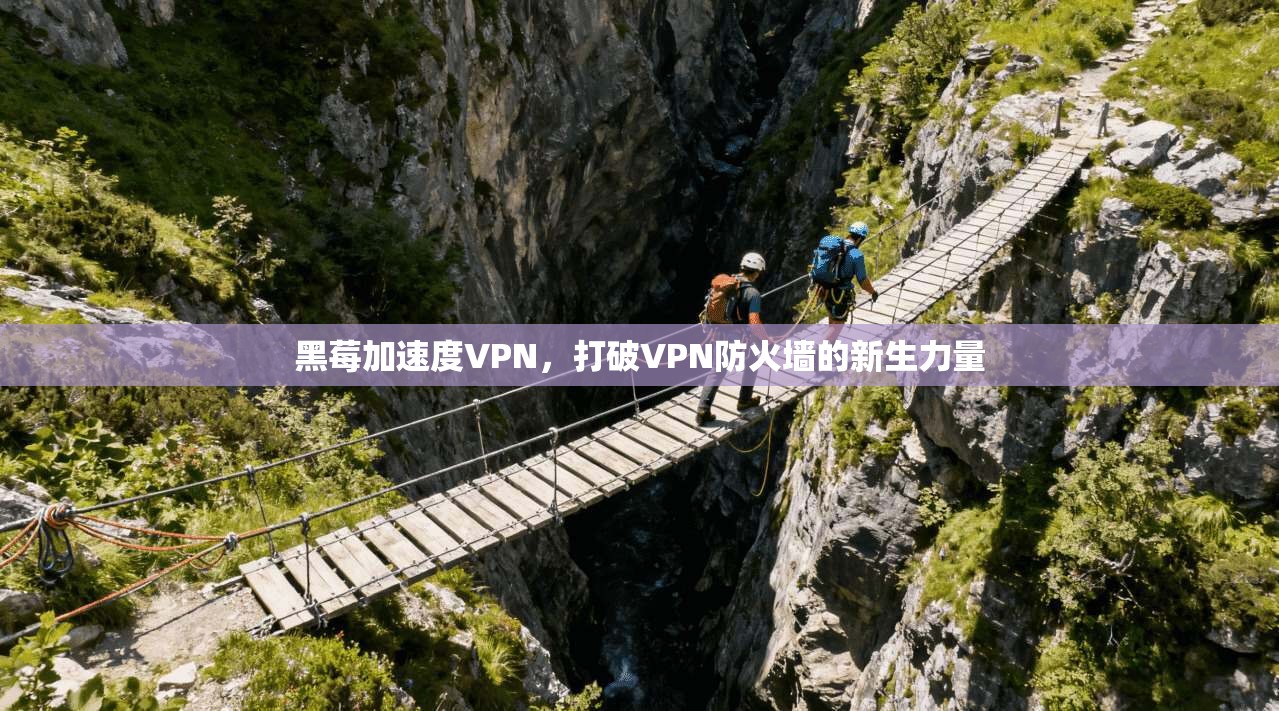 黑莓加速度VPN，打破VPN防火墙的新生力量