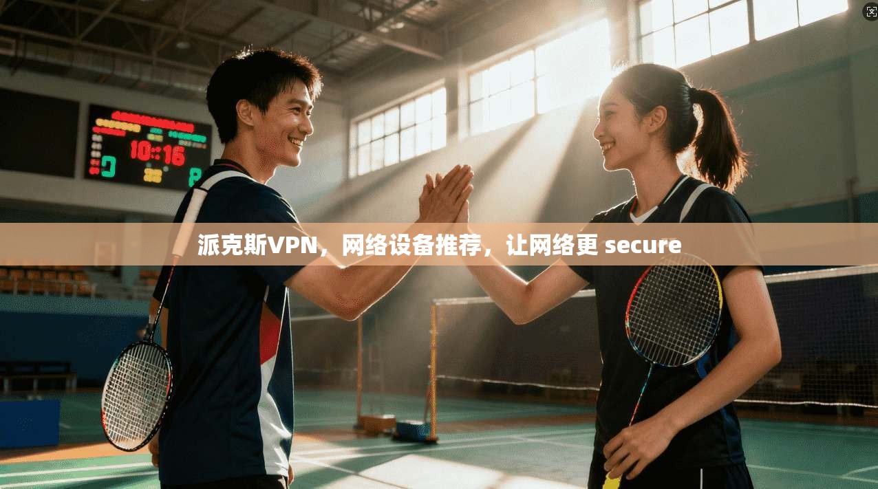 派克斯VPN，网络设备推荐，让网络更 secure