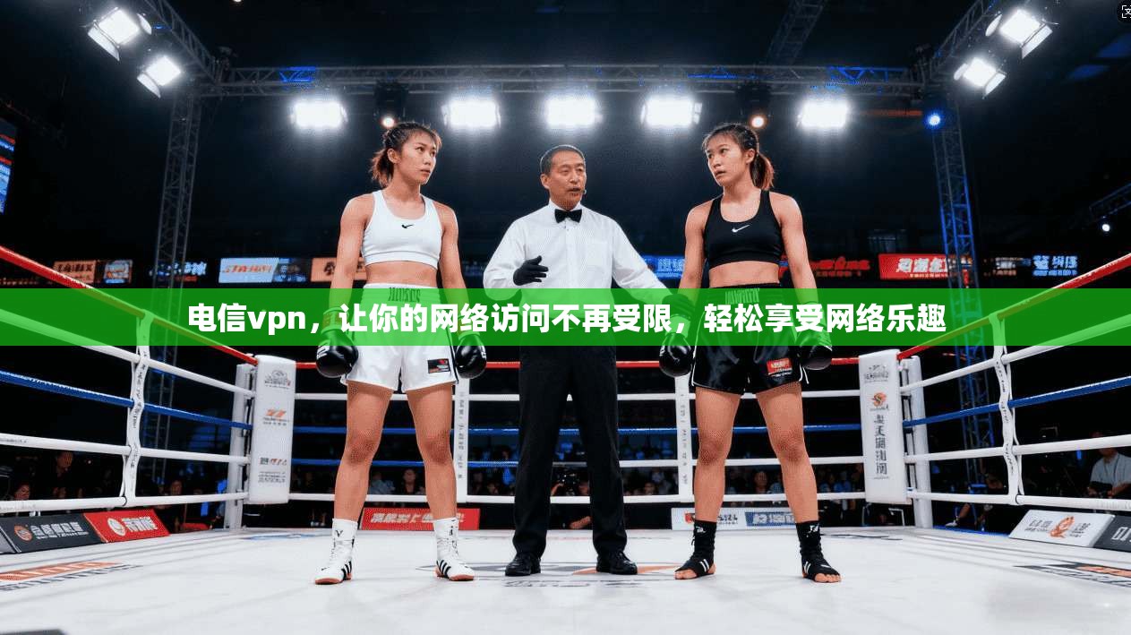 电信vpn，让你的网络访问不再受限，轻松享受网络乐趣