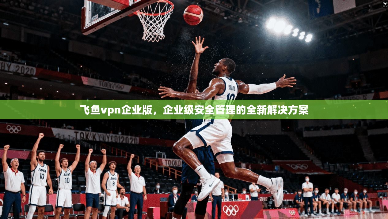 飞鱼vpn企业版，企业级安全管理的全新解决方案