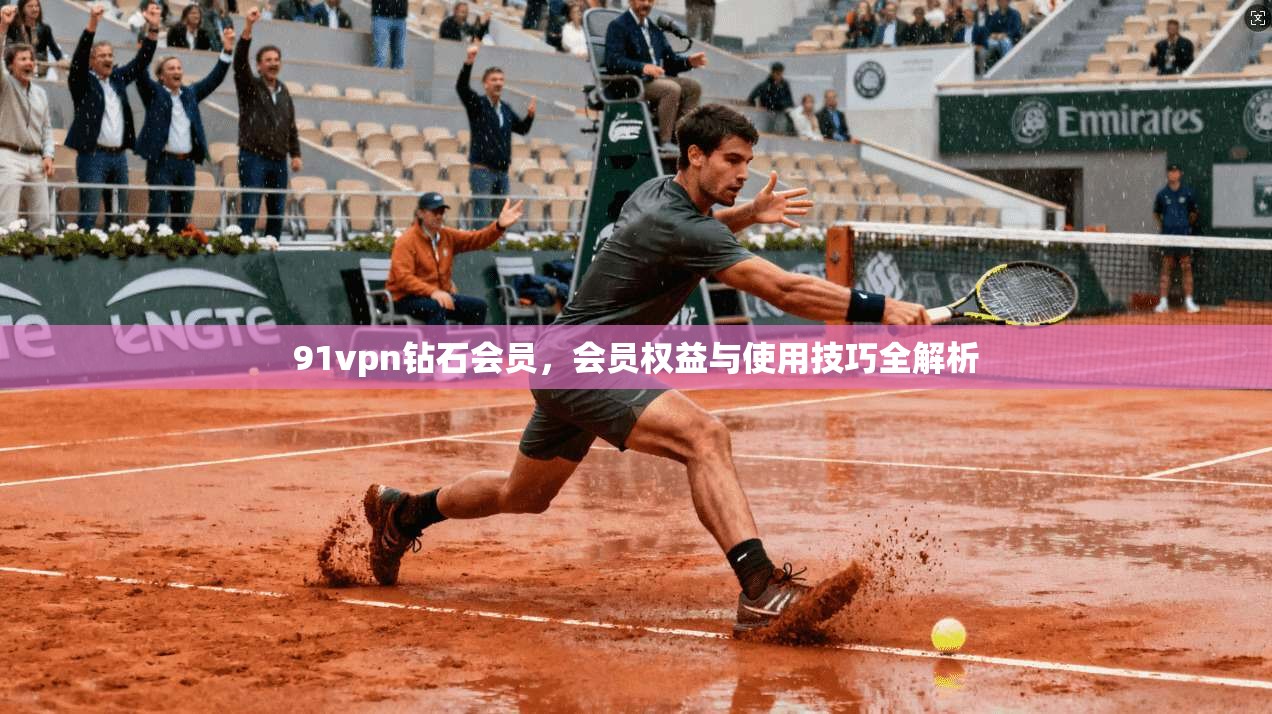 91vpn钻石会员，会员权益与使用技巧全解析