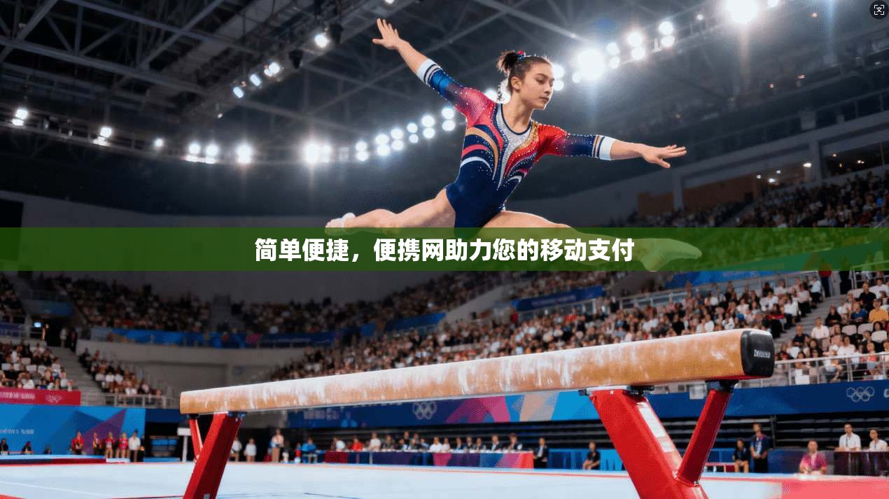 简单便捷，便携网助力您的移动支付