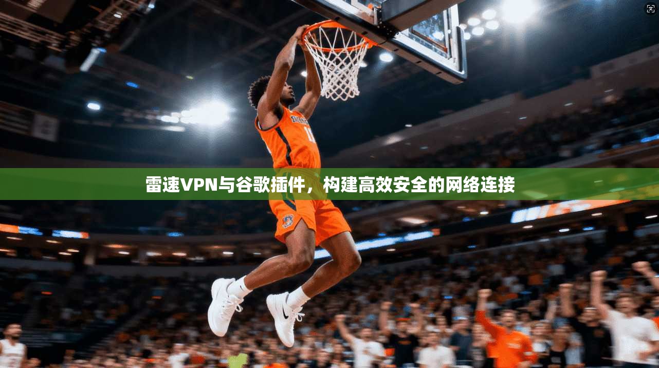 雷速VPN与谷歌插件，构建高效安全的网络连接