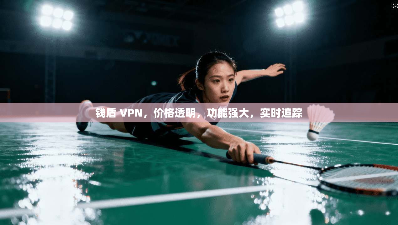 钱盾 VPN，价格透明，功能强大，实时追踪