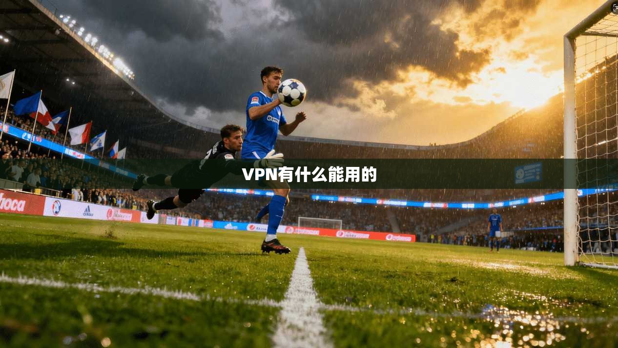 VPN有什么能用的