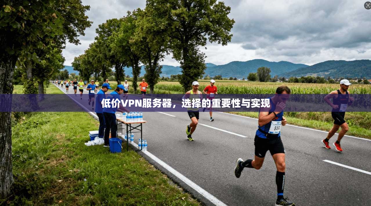 低价VPN服务器，选择的重要性与实现