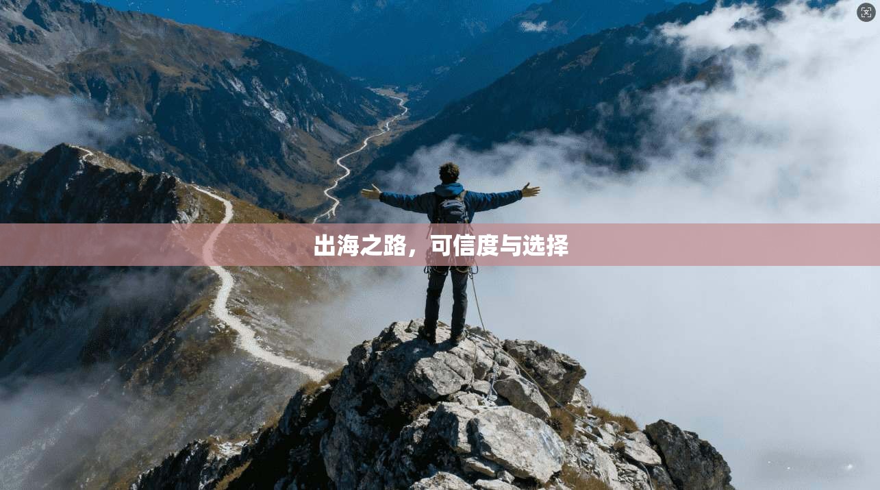 出海之路，可信度与选择