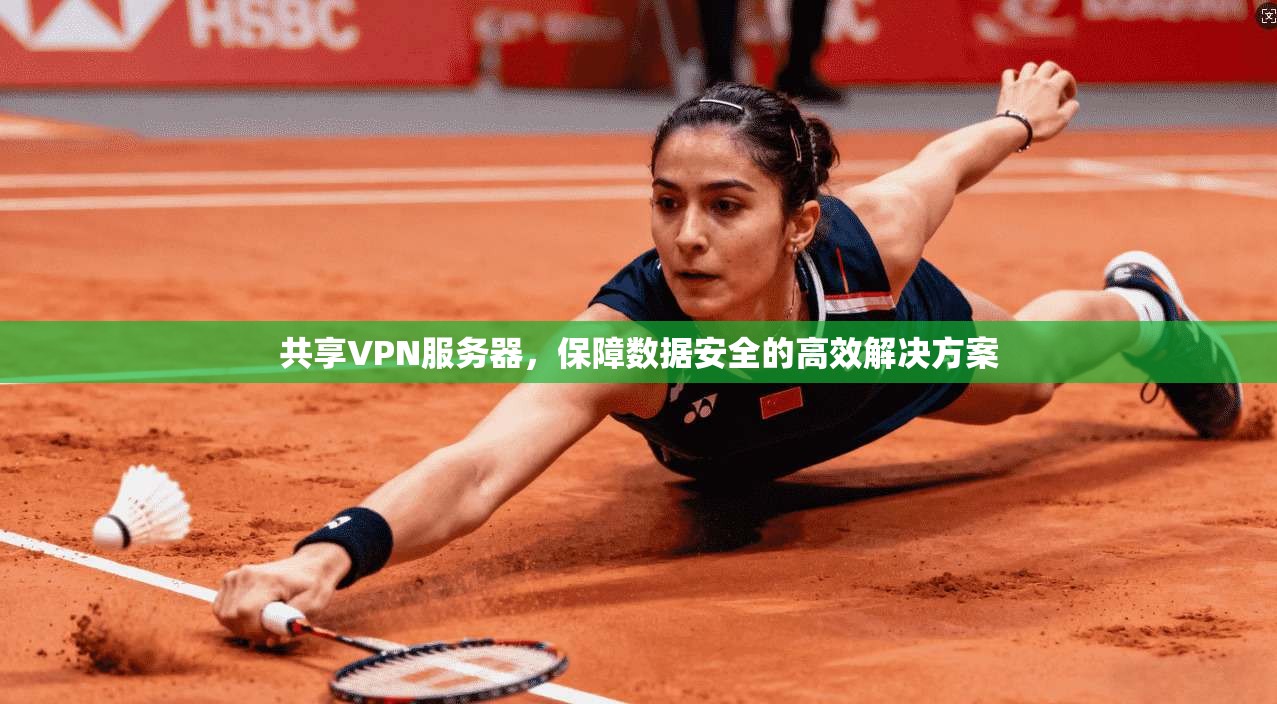 共享VPN服务器，保障数据安全的高效解决方案