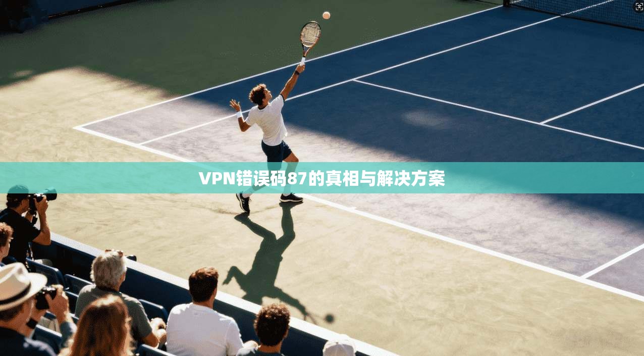 VPN错误码87的真相与解决方案