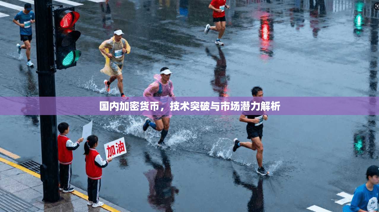 国内加密货币，技术突破与市场潜力解析