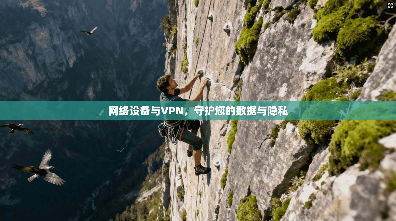 网络设备与VPN，守护您的数据与隐私