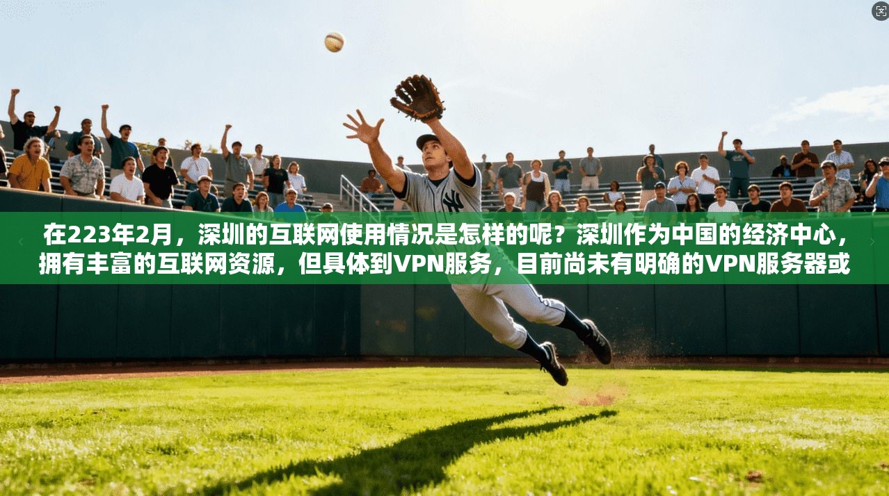 在223年2月，深圳的互联网使用情况是怎样的呢？深圳作为中国的经济中心，拥有丰富的互联网资源，但具体到VPN服务，目前尚未有明确的VPN服务器或者计划。深圳的互联网服务使用情况主要集中在以下方面