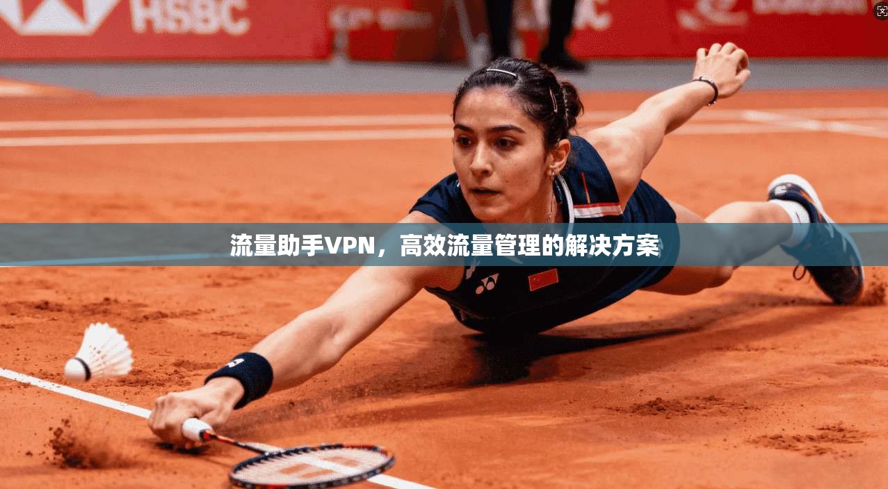 流量助手VPN，高效流量管理的解决方案