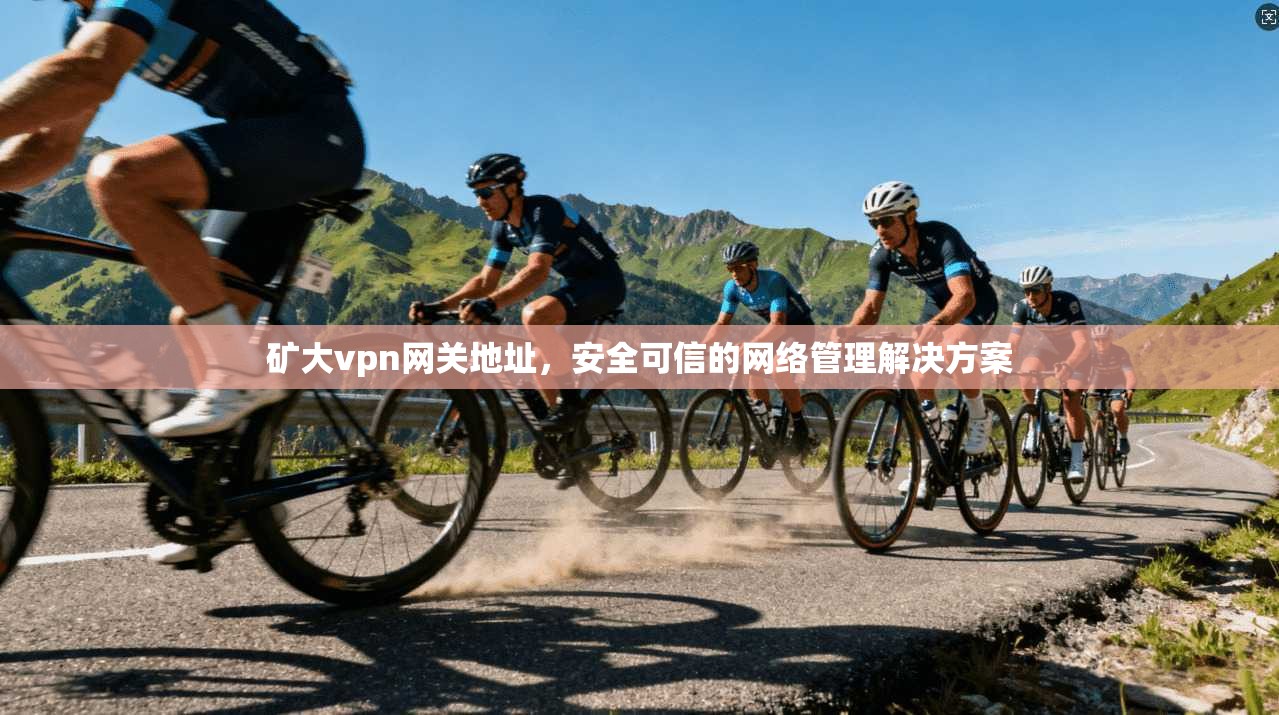 矿大vpn网关地址，安全可信的网络管理解决方案