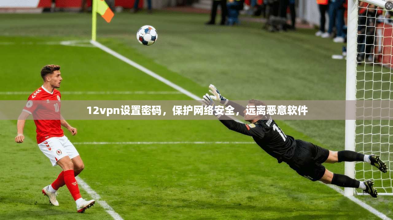 12vpn设置密码，保护网络安全，远离恶意软件