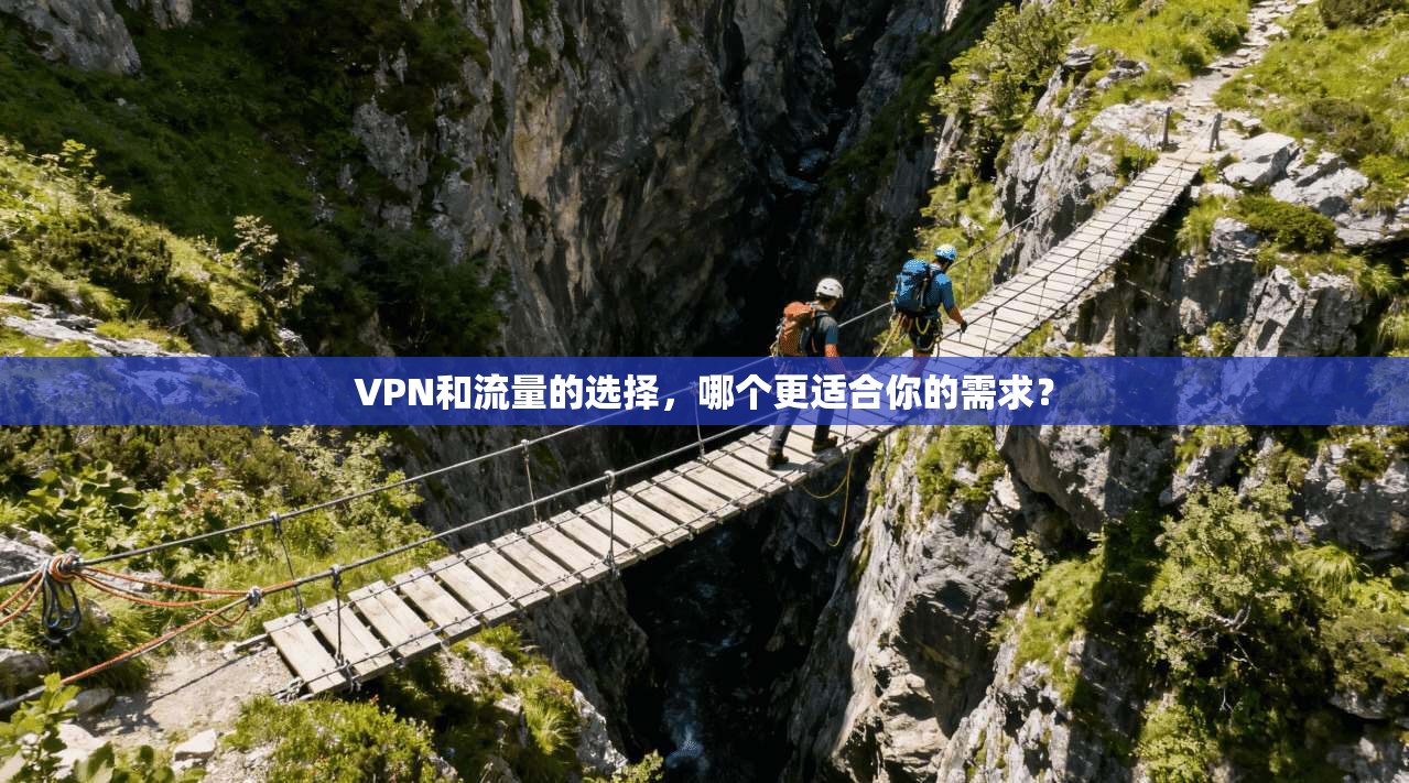 VPN和流量的选择，哪个更适合你的需求？