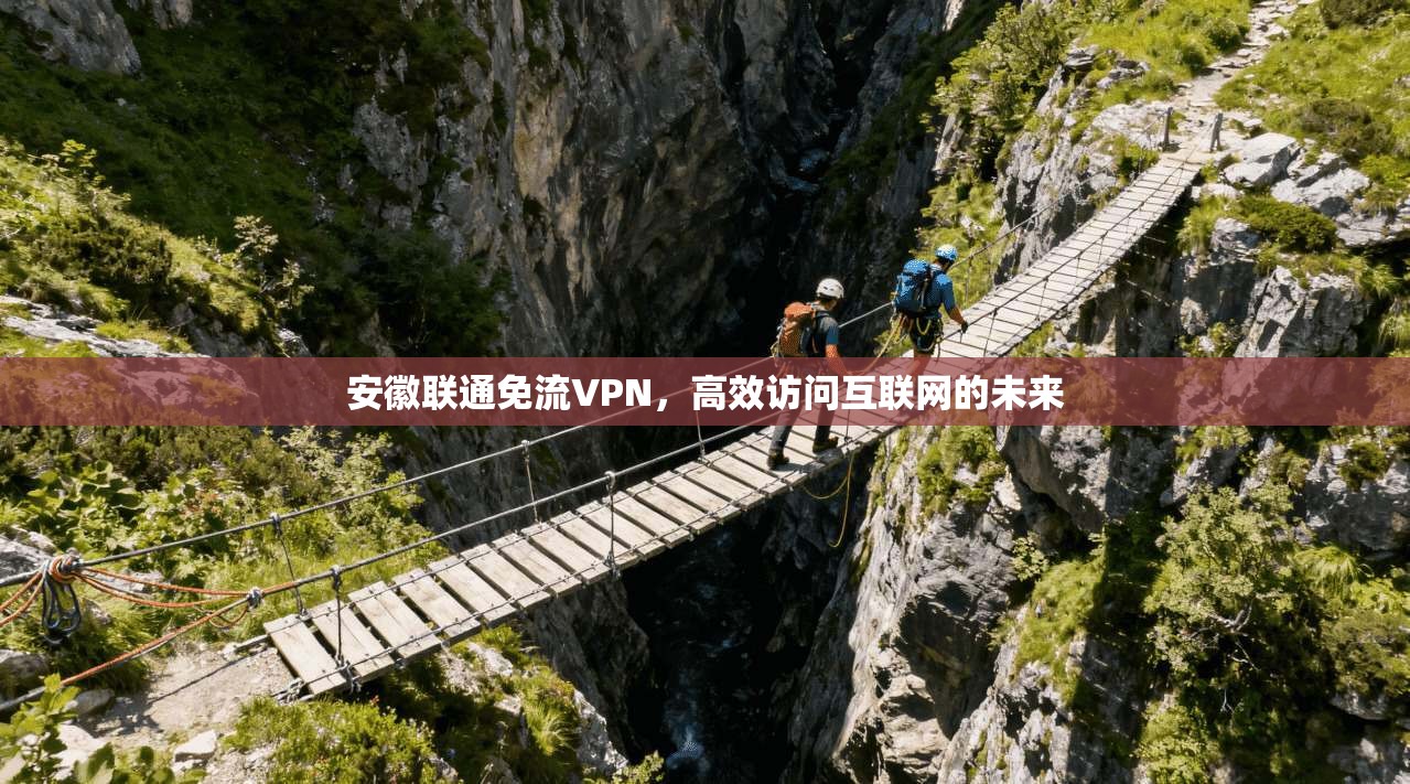 安徽联通免流VPN，高效访问互联网的未来