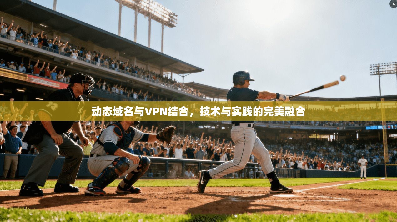 动态域名与VPN结合，技术与实践的完美融合