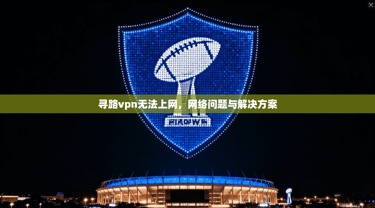 寻路vpn无法上网，网络问题与解决方案