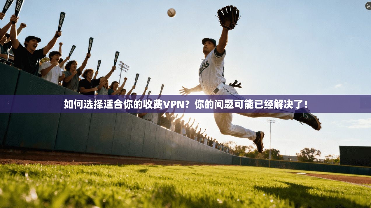 如何选择适合你的收费VPN？你的问题可能已经解决了！