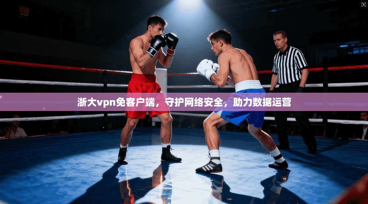 浙大vpn免客户端，守护网络安全，助力数据运营