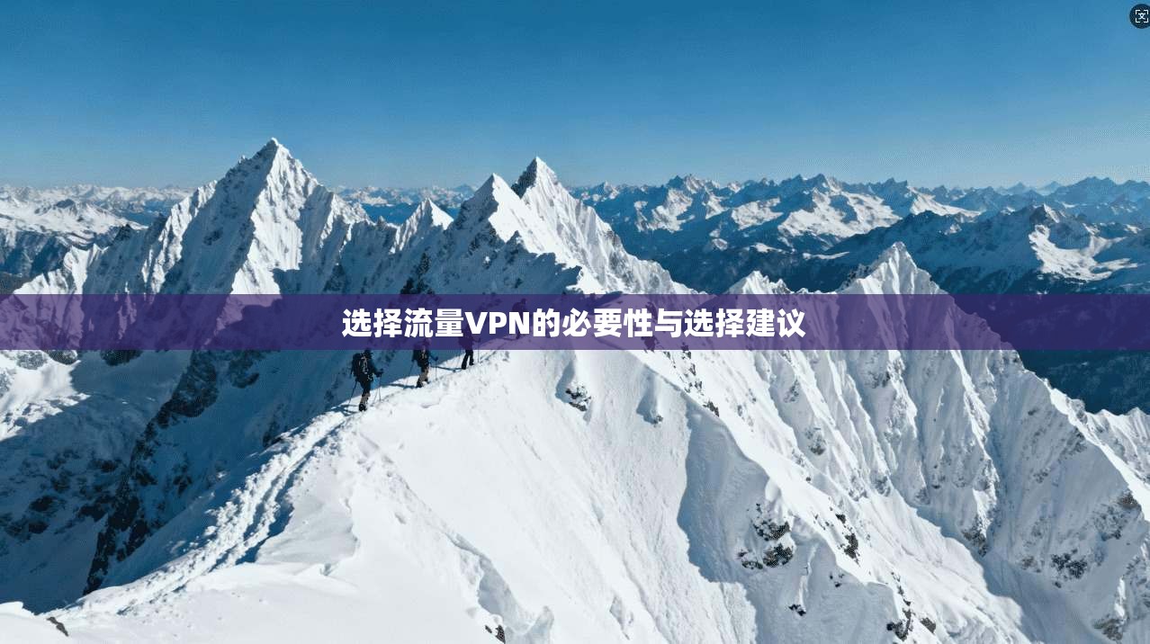 选择流量VPN的必要性与选择建议