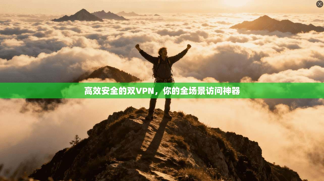 高效安全的双VPN，你的全场景访问神器