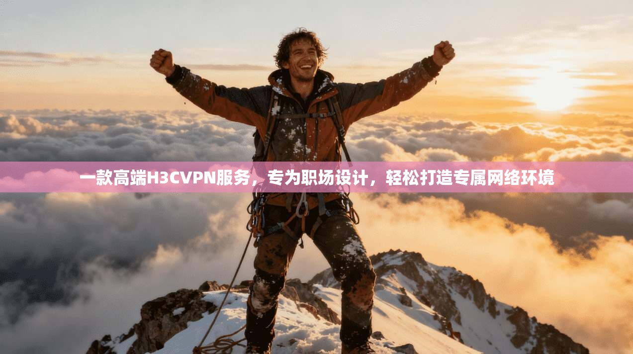 一款高端H3CVPN服务，专为职场设计，轻松打造专属网络环境