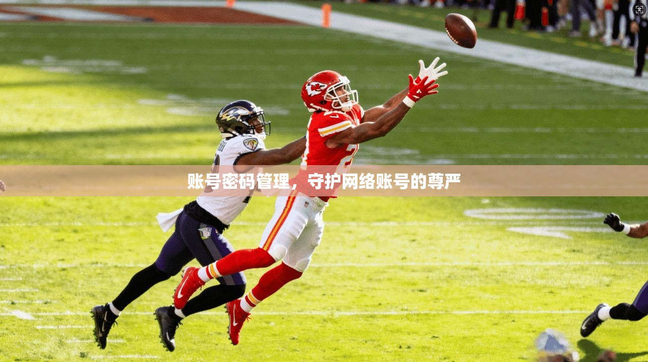 账号密码管理，守护网络账号的尊严