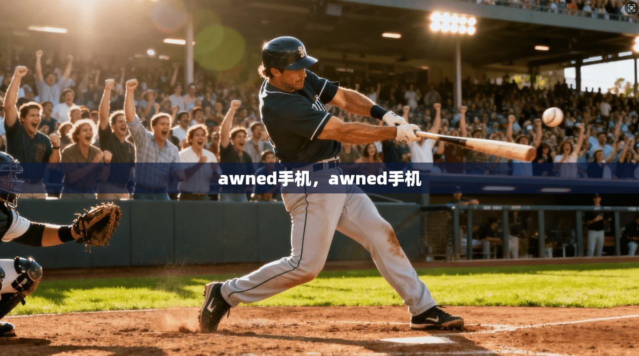 awned手机，awned手机