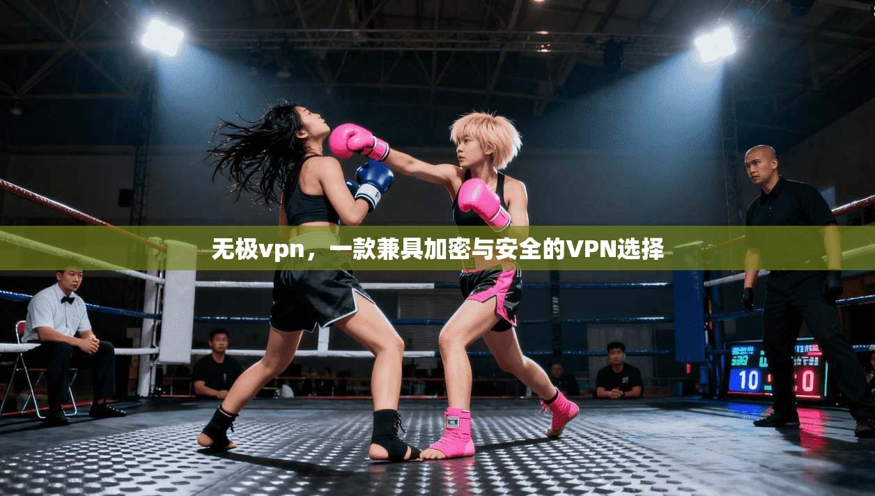 无极vpn，一款兼具加密与安全的VPN选择
