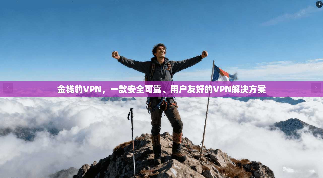 金钱豹VPN，一款安全可靠、用户友好的VPN解决方案