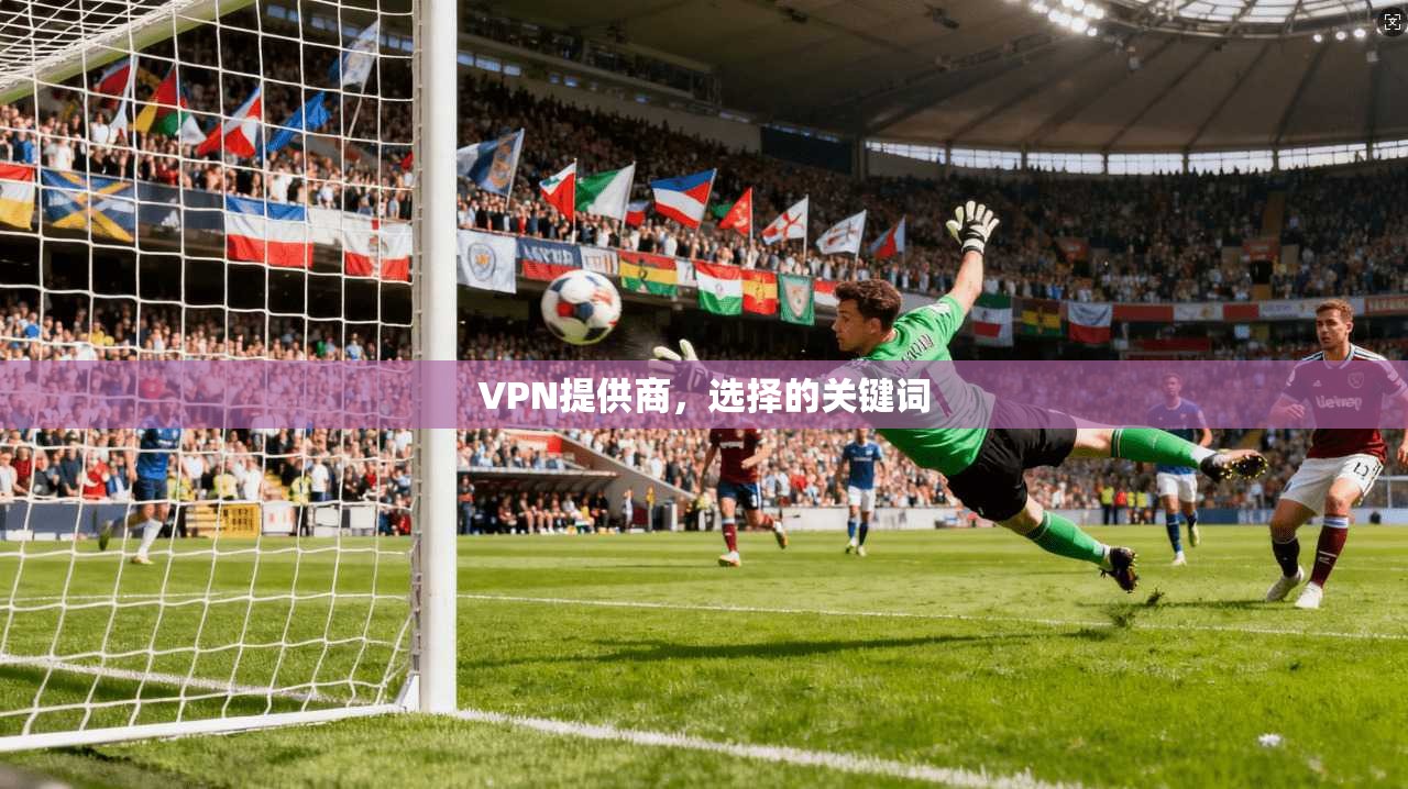 VPN提供商，选择的关键词