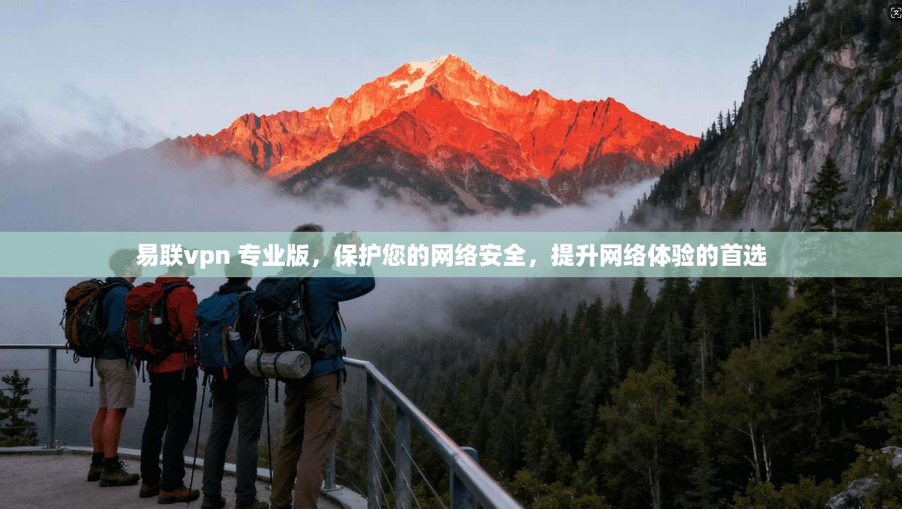 易联vpn 专业版，保护您的网络安全，提升网络体验的首选  第1张