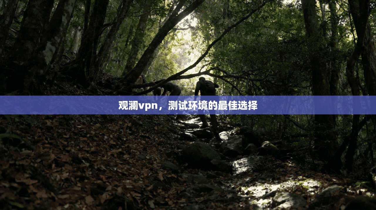 观澜vpn，测试环境的最佳选择